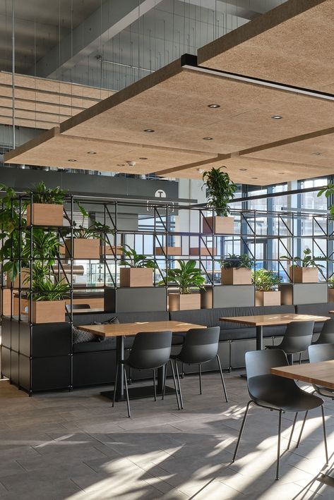 Stadler Deutschland's new modern canteen has light-flooded interior, different seating ranges, large windows, and a lounge area. Square and oblong Troldtekt floating acoustic clouds in natural wood have been installed, adding to an inviting and uplifting atmosphere. Click to see more pictures. #goodacoustics #holzwolleplatten #träullsplattor #troldtekt Architects: Code of Practice Architects GmbH Acoustic Clouds, Wall Elements, Canteen Design, Cafeteria Design, Office Canteen, Corporate Interior Design, Bakery Design Interior, Corporate Office Design, Modern Cafe