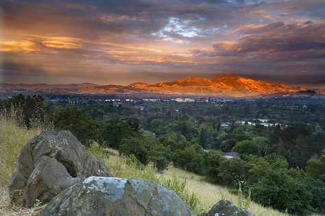 Pleasant Hill, California - Where I grew up! Pleasant Hill California, Walnut Creek California, Contra Costa County, Dream Trips, Walnut Creek, Beautiful Sites, California Love, California Dreamin', Travel Places