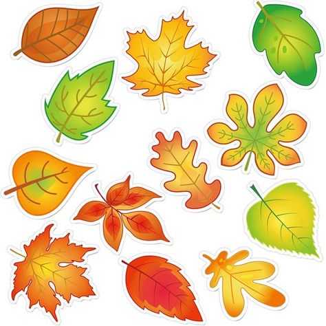 PRICES MAY VARY. Package includes: you will get 60 pieces of fall leaves accents cutouts in 12 different style,each style has 5 pieces, with 120 pieces of glue point dots, with autumn thanksgiving theme elements, which make those leaves are suitable for decorating walls, bulletin boards, doors and desks 12 Fall leaves designs: this set of fall leaf accents features assorted shapes of maple leaf cutout, common leaf cutout, ash leaf cutout, elm leaf cutout, birch leaf cutout, and others leaves and Fall Classroom Bulletin Boards, Wall Tree Decor, School Thanksgiving Party, Fall Leaves Pictures, Fall Window Painting, Elm Leaf, Ash Leaf, Thanksgiving Leaves, Thanksgiving Party Decorations