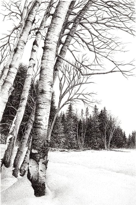 Snowy Landscape Drawing, Snow Ink Drawing, Winter Drawings, Fineliner Art, Forest Drawing, Snow Forest, Landscape Sketch, Snowy Trees, Snowy Forest