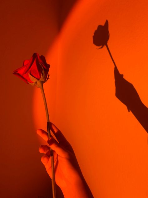 Orange Shadow Aesthetic, Orange Aestethic Wallpaper, Orange Aesthetic Photos, Deep Orange Aesthetic, Orange And Red Aesthetic, Neon Orange Aesthetic, Orange Red Aesthetic, Burnt Orange Aesthetic, Dark Orange Aesthetic