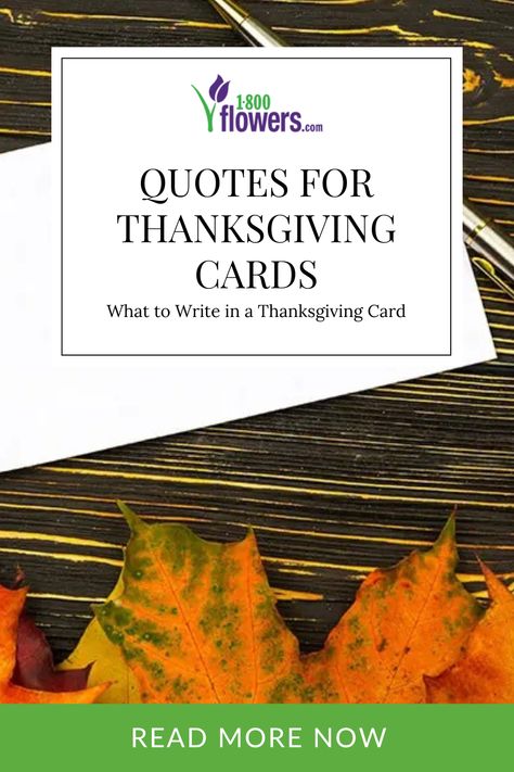 Searching for quotes for Thanksgiving cards to write the perfect Happy Thanksgiving message. Find the perfect Thanksgiving greeting quotes to write in your holiday cards. Thanksgiving Day Card Sentiments, Fall Sentiments For Cards, What To Write In A Thanksgiving Card, Thanksgiving Notes Thankful For, Thanksgiving Card Sentiments, Thanksgiving Verses For Cards, Thanksgiving Card Sayings, Thanksgiving Sentiments For Cards, Thanksgiving Sayings For Cards