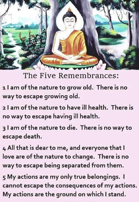 The Five Remembrances, Nirvana Buddhism, Buddhism Philosophy, Buddhism For Beginners, Buddhism Beliefs, Buddha's Teachings, Daily Spiritual Quotes, Buddha Quotes Life, Buddhist Mantra