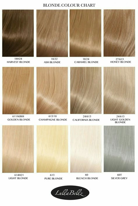 Hair Color For Fine Thinning Hair, Blond Shades Of Hair, Light Sandy Blonde Hair, Hair Colour Chart, Blonde Hair Color Chart, Champagne Blond, Cosmo School, Champagne Blonde Hair, Honey Blonde Hair Color