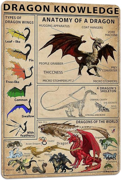 Amazon.com : PAIION Dragon Knowledge Types of Dragon Wings Metal Sign 8x12 Inches, Boy Bedroom Home Kitchen Retro Bar Pub Office Wall Decor : Home & Kitchen Dragon Knowledge, Dragon Poster, Knowledge Poster, Types Of Dragons, Asian Dragon, Vertical Poster, Dragon Wings, Canvas Print Display, A Dragon