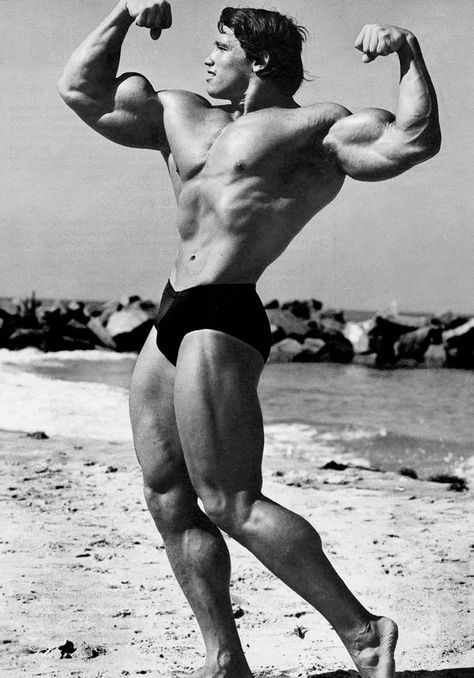 Stage 1: The Bodybuilder Arnold Schwarzenegger Workout, Olympia Bodybuilding, Arnold Bodybuilding, 남성 근육, Arnold Schwarzenegger Bodybuilding, Schwarzenegger Bodybuilding, Bodybuilding Pictures, Gold's Gym, Phil Heath