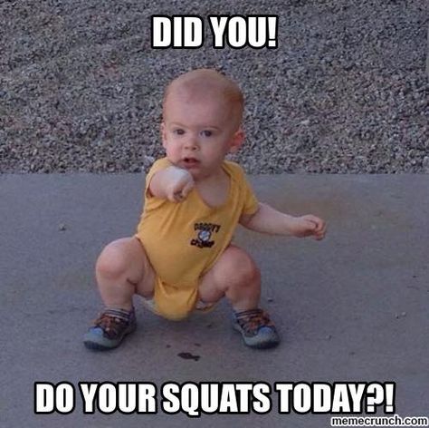 Squat Memes, Gym Humour, Squat Motivation, Fitness Memes, Gym Quote, Workout Memes, Gym Memes, Gym Humor, Motivation Fitness