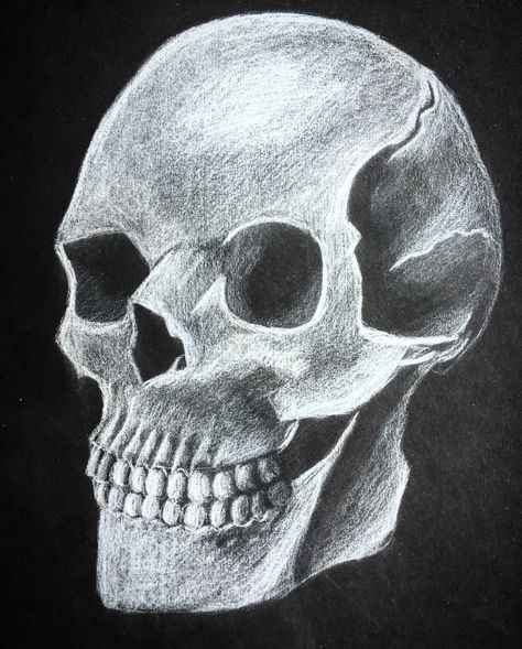 Skull black and white drawing Skull Black And White, Black Paper Drawing, 3d Skull, White Drawing, Art Curriculum, Chalk Drawings, White Pencil, Skull Drawing, Black Skulls