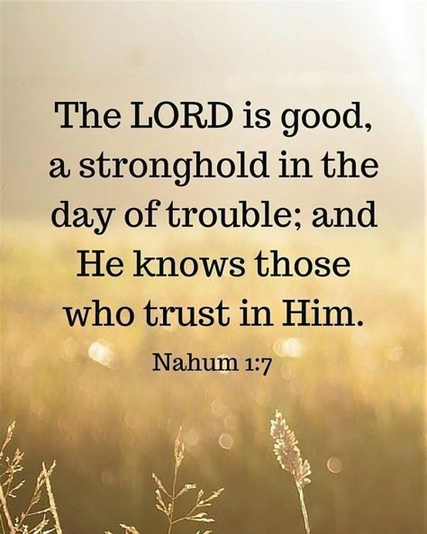 The LORD is good, a stronghold in the day of trouble; and He knows those who trust in Him.  Nahum 1:7 Nahum 1 7, Strong Tower, Trust In Him, Favorite Scriptures, Beautiful Bible Verses, The Lord Is Good, Awesome God, Bible Study Verses, Vie Motivation