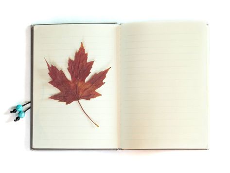 Can You Press Fall Leaves: Methods For Pressing Autumn Leaves Preserving Leaves, Pressing Leaves, Fall Displays, Pressing Flowers, Autumn Display, Maple Leaves, Famous Books, Fall Leaves, Pressed Flowers