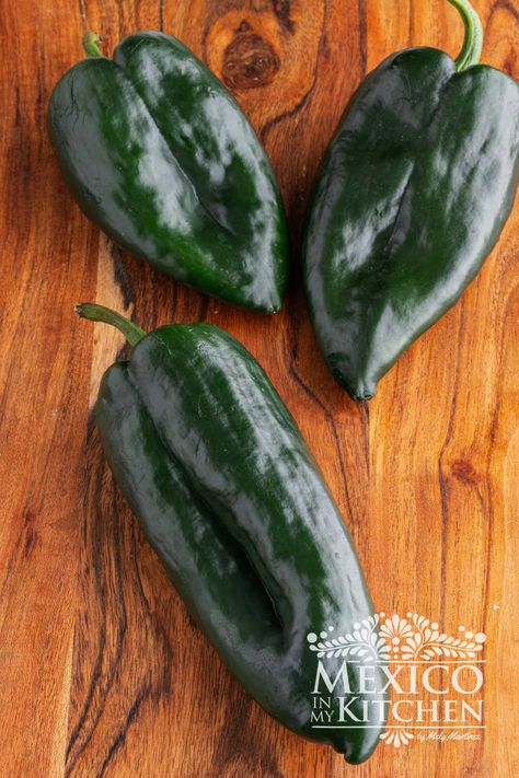 Poblano Peppers (How to roast and cook with them) Mayocoba Beans, Poblano Soup, Poblano Peppers Recipes, Poblano Sauce, Roasted Poblano Peppers, Seafood Cocktail, Ceviche Recipe, Poblano Peppers, Serrano Pepper