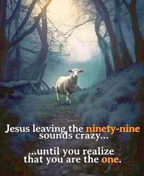 Lost Sheep, The Lost Sheep, Leadership Management, Christian Quotes Prayer, Keynote Speaker, Religious Education, Inspirational Quotes God, Bible Quotes Prayer, Daily Bible Verse