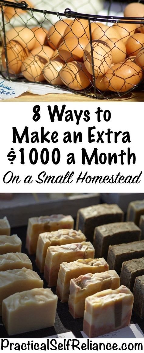 8 Ways to Make an Extra $1000 a Month On a Small Homestead — Practical Self Reliance Small Homestead, Homesteading Diy, Homestead Farm, Info Board, Homestead Gardens, Future Farms, Homesteading Skills, Homestead Living, Urban Homesteading