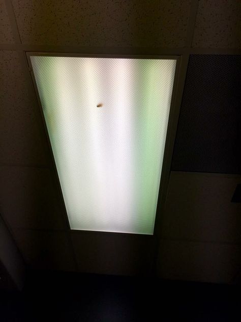 As Above, So Below. Cockroaches in ceiling light fixtures indicate low level energy thoughts and actions in the office.‬ Beware!  Learn about burned out and flickering fluorescent lights when you SUBSCRIBE! http://bit.ly/Subscribe2FSFOTR  What does your home or work environment need to provide you support, comfort, and ease? Find out and fix it! Schedule your professional Feng Shui consultation today at http://bit.ly/FSConsultOverview Fluorescent Lights, Fluorescent Lighting, As Above So Below, Stars Align, Flickering Lights, Fluorescent Light, Work Environment, Life Photo, Ceiling Light Fixtures