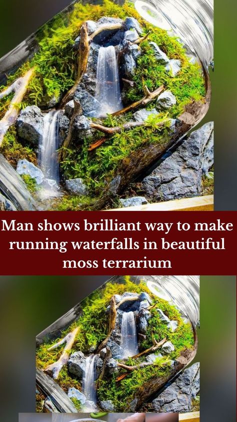 Man shows brilliant way to make running waterfalls in beautiful moss terrarium Terrarium Ideas Unique, Glass Jar Diy, Succulent Plants Indoor, Closed Terrarium Plants, Terrarium Scene, Plants Terrarium, Water Terrarium, Small Water Gardens, Succulent Planting