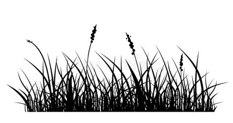 Tall Grass Tattoo, Grass Tattoo Design, Wheat Illustration, Plants Silhouette, Grass Tattoo, Vector Grass, Grassland Biome, Haldi Photoshoot, Grass Silhouette