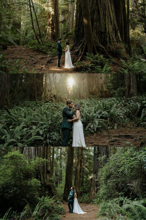 Photos from a romantic forest engagement shoot in Redwoods National Park. See more woodsy engagement pictures, woodsy engagement photos outfits, and woodsy engagement shoot ideas. Book Julia for your redwoods engagement photos or redwood elopement photography at juliaminaphotography.com! Redwood Forest Engagement Photos, Olympic National Park Engagement Photos, Dark Forest Engagement Photos, Redwoods Engagement Photos, Fall Forest Engagement Photos, Redwood Engagement Photos, Redwood Photoshoot, Woodsy Engagement Pictures, Redwood Elopement