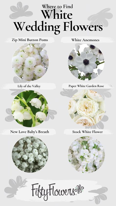 Cheaper Flowers For Wedding, Types Of White Flowers For Wedding, White Flower Color Palette, White Filler Flowers Wedding, White Winter Wedding Flowers Centerpieces, White Flowers Types, January Wedding Flowers In Season, February Wedding Flowers In Season, Winter White Flowers