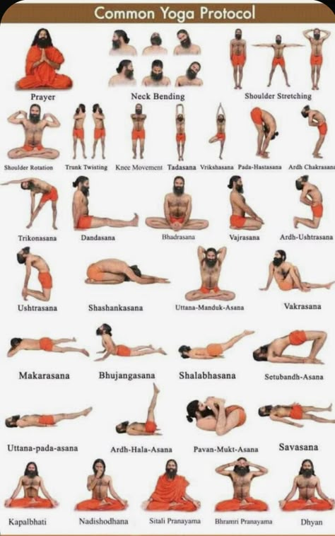 Ramdev Yoga, Healthy Makeup, Yoga Ashtanga, Yoga Nature, Yoga Facts, Yoga Poses Names, Poses For Beginners, Latihan Yoga, Yoga Beginners