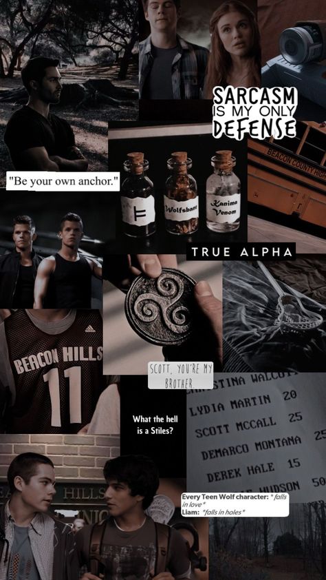 Teen Wolf Wallpaper, Lydia Teen Wolf, Teen Wolf Werewolf, Wolf Background, Wolf Character, Teen Wolf Mtv, Wolf Wallpaper, Lydia Martin, Derek Hale