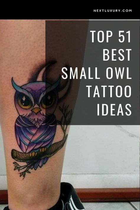 Traditionally the owl represents wisdom and knowledge, dating back to Greek Antiquity and Biblical times. Their prodigious, unblinking eyesight, sharp beak, and nocturnal nature helps the owl’s popularity for being brought to life by small tattoo. Forearm Owl Tattoo Women, Tiny Owl Tattoos For Women, Baby Owl Tattoo For Women, Owl With Glasses Tattoo, Owl Tattoo For Women Sleeve Forearm, Owl And Feather Tattoo, Tattoo Owl Design, Owl Wrist Tattoos For Women, Small Owl Tattoos For Women Simple