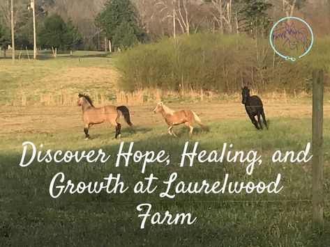 Therapy Farm, Equine Assisted Therapy, Horse Healing, Equine Therapy, Therapy Animals, Farm Ideas, Wellness Programs, Counseling, Healing