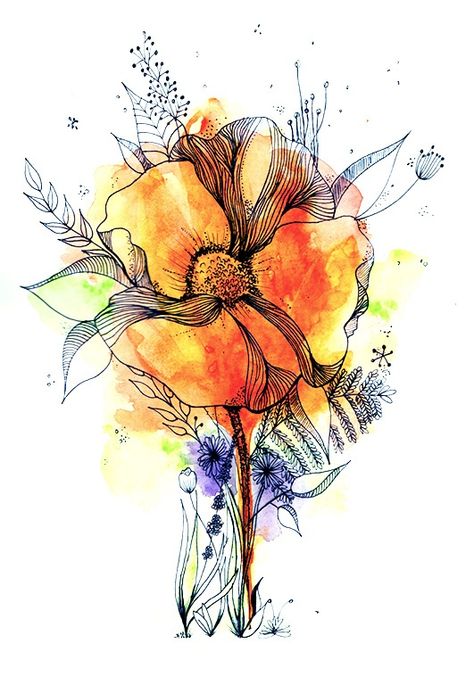 Botanical Line Drawing with water colour by Carla Johnstone Botanical Line Drawing, Illustration Botanique, Drawing Watercolor, Watercolour Inspiration, Watercolor Flower Art, Line Drawings, Watercolor Flowers Paintings, Alcohol Ink Painting, Alcohol Ink Art