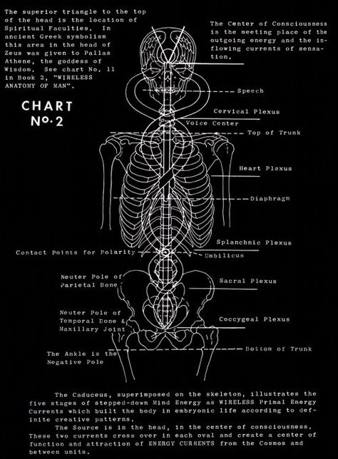 Polarity therapy works with the electromagnetic field to enhance the energy flow and  balance the chakra system. According to Dr. Stone, we are fields of pulsating life energy made up of 5 elements (Ether, Air, Fire, Water, Earth) and 3 gunas (Sattva, Rajas, Tamas concepts from Ayurveda tradition). Each element has its own vibration and frequency and is in constant motion, exchanging energy between the positive, neutral, and negative poles in the body. Air Fire Water Earth, Body Energy Flow, Polarity Therapy, Chakra Health, Sacred Science, Medical Student Study, Electromagnetic Field, Japanese Water, Body Map