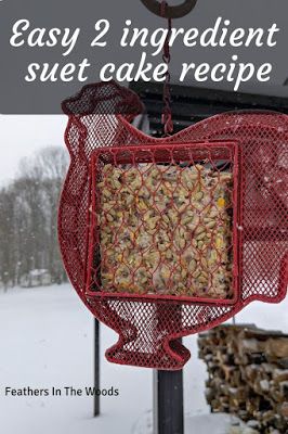 Simple suet recipe. Make your own suet and cut it into blocks for use in your suet holders. Use extras to make suet balls for birds in winter. Bark Butter For Birds Recipe, Bird Suet Recipes Homemade, Suet Recipe, Birds In Winter, Backyard Birds Sanctuary, Backyard Birds Feeders, Suet Bird Feeder, Bird Suet, Suet Cakes