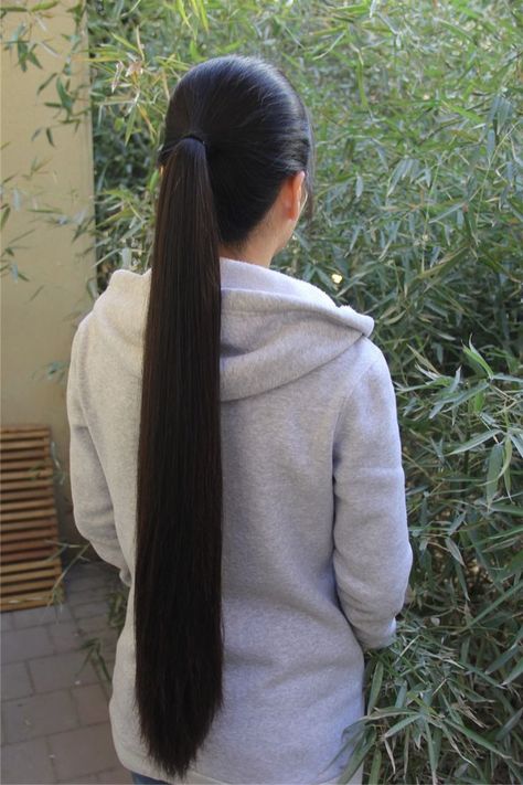 Long Ponytail Hairstyles, Long Hair Black, Herbs For Hair Growth, Herbs For Hair, Long Ponytail, Long Shiny Hair, Long Indian Hair, Long Hair Ponytail, Long Silky Hair