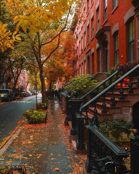 Elena on Instagram: “West Village looking beautiful this time of year 🍁🍂 Wonderful pictures by Kevin @feeling.light Happy Wednesday! #picturesofnewyork” Fall In New York City, Fall In Nyc, West Village Nyc, Townhouse Exterior, Fall City, Halloween Week, Nyc Fall, Autumn In New York, New York Pictures