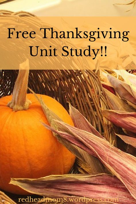 Free Thanksgiving Unit Study, Thanksgiving Unit Study Kindergarten, Thanksgiving Unit Study Homeschool Free, October Unit Study, Turkey Unit Study, Thanksgiving Lesson Plans For 2nd Grade, Homeschool Thanksgiving Unit Study, Thanksgiving Unit Study Homeschool, Homeschool Thanksgiving Activities