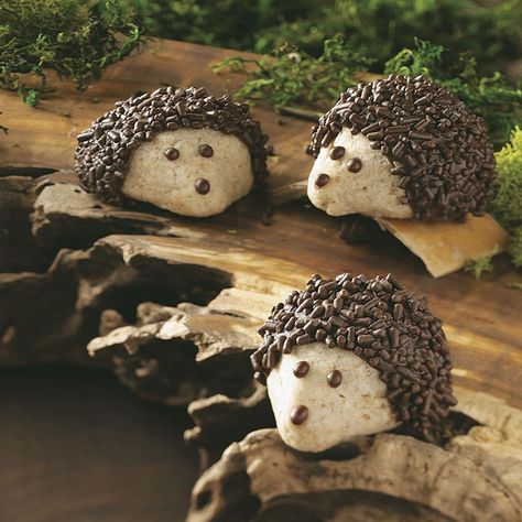 Chocolate-Pecan Hedgehog Cookies Recipe -Unlike the real woodland creatures, these chocolate-coated hedgehogs dwell on snack plates and cookie trays. The little guys are fun to make and eat. —Pamela Goodlet, Washington Island, WI Animal Shaped Foods, Hedgehog Cookies, Chocolate Sprinkles, Chocolate Pecan, Snack Plate, Taste Of Home, Cookie Desserts, Vegetarian Chocolate, Cookies Recipe