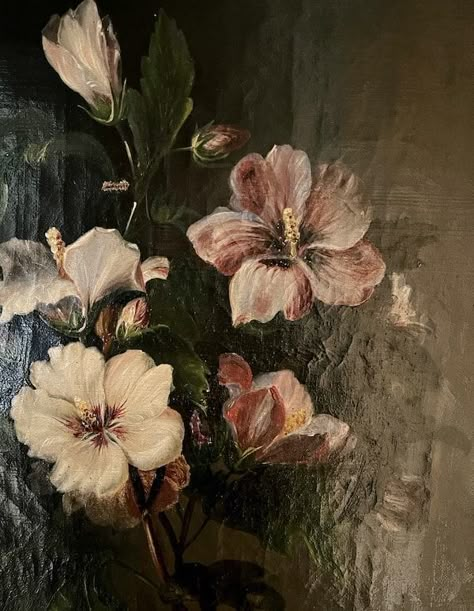 A charming antique painting depicting a small bouquet of hibiscus.  The flowers are pink and white with tones of mauve, and the leaves stand out very subtly against the dark background.  The detail is amazing, worthy of a botanical illustration.  Oil on canvas, unframed and unsigned.      	Measures:  32 x 40 cm  	Frame –  No  	Age –Late 1800's  	Overall condition – very good but with small (1cm) incision towards the top of the painting.  See photos.  	Signed – No  	Materials –  Oil on canvas Classical Art Flowers, Classic Art Flowers, Cool Toned Painting, Canvas Dark Painting, Flower Painting Vintage, Antique Floral Painting, Flower Art Painting Oil, Flower Print Painting, Soft Flower Painting