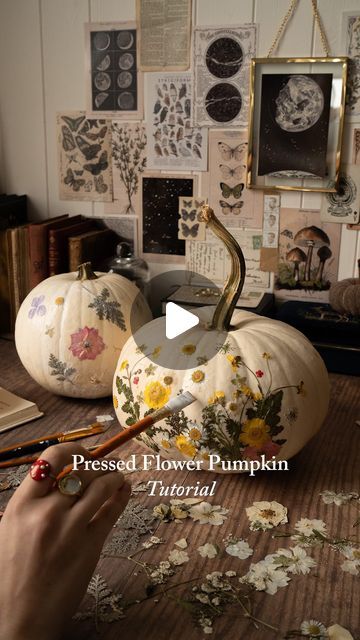 Fable England on Instagram: "Pumpkin decoration… Fable style! We still love ghoulish gourds but we couldn’t resist trying this pressed flower pumpkin trend. Would you try this?  #pumpkindecorating #pumpkinseason #fallcrafts #pumpkindecor #halloweencrafts #craftersofinstagram #pressedflowers #pressedflowerart" White Pumpkin With Pressed Flowers, Dried Floral Pumpkin, Pumpkin Decorating Flowers, Pumpkin Decorating With Flowers, Dried Flowers On Pumpkins, Flower Pumpkin Decorating, Dried Flower Pumpkin, Pressed Flower Pumpkin, Flower Pumpkins