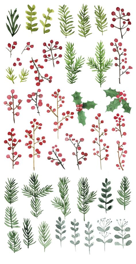 Watercolor Garland Christmas, Pine Cone Embroidery Pattern, Eucalyptus Wreath Drawing, Christmas Berries Decorations, Christmas Greenery Drawing, Christmas Garland Painting, Christmas Leaves Drawing, Winter Foliage Illustration, Christmas Mistletoe Drawing