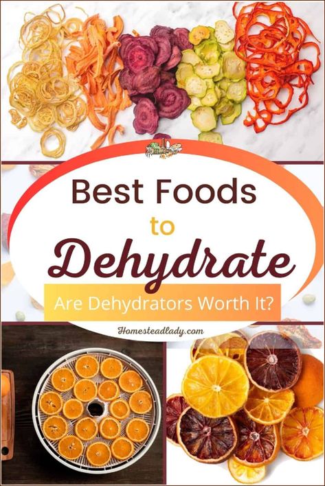 Best Foods to Dehydrate • Homestead Lady Foods To Dehydrate, Best Food Dehydrator, Dehydrate Potatoes, Food Dehydration, Happy Homemaking, Freeze Dryer, Food Dehydrators, Dehydrated Vegetables, Dehydrated Fruit