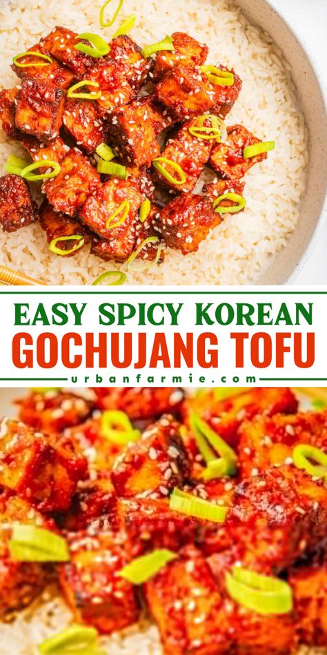 Want more weeknight dinners for family? Here's a healthy main dish that's vegan and vegetarian with a gluten-free option! Crispy and packed with flavor, this spicy gochujang tofu is irresistible. You can even enjoy this Korean tofu recipe as a snack food! Dinners For Family, Korean Vegetarian Recipes, Gochujang Tofu, Tofu Dinner Recipes, Korean Vegetarian, Sweet Spicy Sauce, Korean Tofu, Tofu Vegan, Tofu Recipe