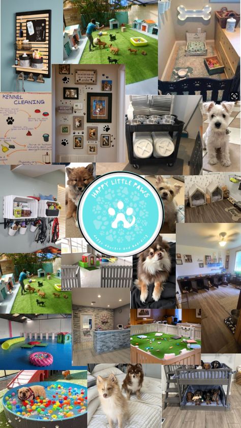 Happy little paws doggy daycare and boarding llc Doggie Daycare, Doggy Daycare, Dog Daycare