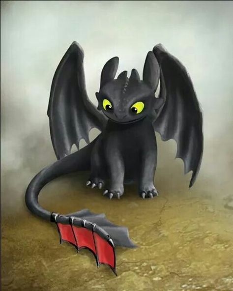 O Dragão banguela em desenho cartoon Toothless And Stitch, Art Girl Aesthetic, Arte Doodle, Toothless Dragon, Prințese Disney, Dragon Party, Dragon Trainer, Illustration Art Girl, Illustration Art Drawing