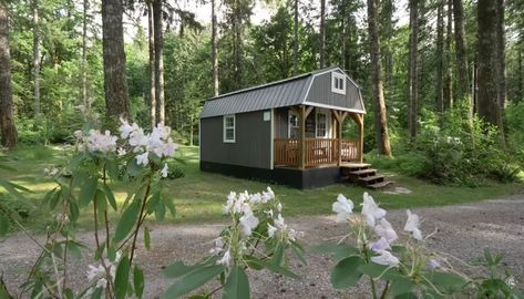 Shed to Cozy Farmhouse Conversion Now For Sale