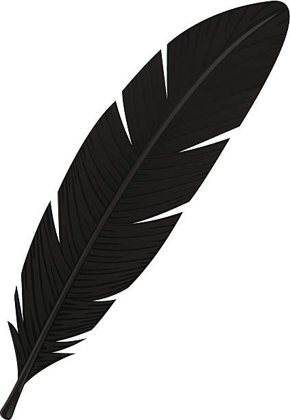 Crow Feathers, Feather Clip Art, Feather Clipart, Feather Template, Geometric Arrow Tattoo, Crow Feather, Spider Web Tattoo, American Traditional Tattoo Ideas, Drawing Refrences