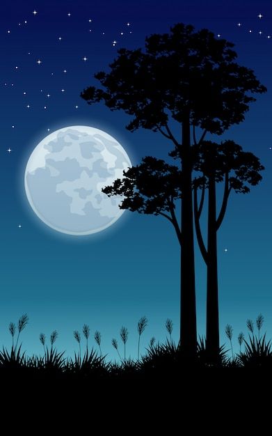 Night Scene Painting, Moon And Trees, Butterfly Tree, Moon Painting, Anime Wallpaper Phone, Beautiful Night, Night Scene, Night Painting, Tree Drawing