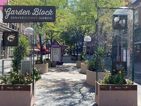 16th Street Mall (Denver) - 2020 All You Need to Know BEFORE You Go (with Photos) - Tripadvisor 16th Street Mall Denver, Garden Blocks, Denver Botanic Gardens, Street Mall, Denver Colorado, Shopping Mall, Botanical Gardens, In The Heart, Denver