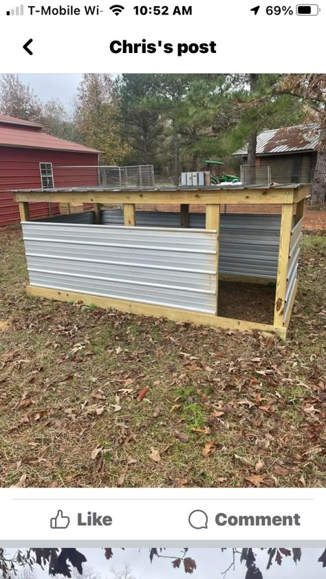 Simple Livestock Shelter, Diy Pig House Outdoor, Pig Kennel Ideas, Sheep Paddock Ideas, Diy Goat Shelter Winter, Sheep Stall Ideas, Pig Shelter Plans, Grain Bin Animal Shelter, Diy Pig House