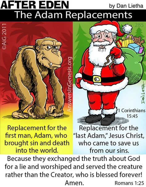 After Eden 285: Keep Adam in Christmas! Answers In Genesis, Biblical Artwork, Christian Cartoons, Akatsuki Funny, The Garden Of Eden, Godly Life, Biblical Inspiration, Bible Facts, Jesus Is Life