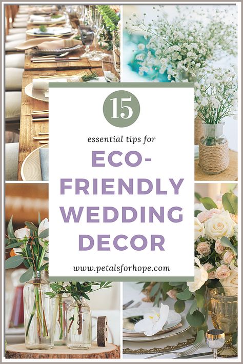 Make your guests feel like royalty with a seating chart from Amazon. Low Waste Wedding, Eco Friendly Wedding Decor, Wedding Flower Alternatives, Seating Chart Ideas, Chart Ideas, Sustainable Wedding, Low Waste, Eco Friendly Wedding, Sustainable Products