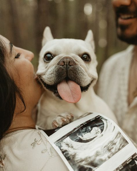 When my clients told me they brought their dog with them I was so excited 🥹! Love including your dogs in your sessions! 🥰 #dogphotography #dogphotoshoot #announcement #pregnancyannouncement #maternityphotography #tampaphotographer #flphotographer #stpetephotographer #gpresets #authenticlovemag #unscriptedposingapp #creativephotography #photographyideas #dogsofinstagram #pregnancyphotoshoot Dog With Ultrasound Picture, Dog Maternity Shoot Ideas, Pregnant Photoshoot With Dog, Maternity Photography Poses With Dogs, Pregnancy Announcement Photoshoot With Dog, Fall Pregnancy Announcement With Dog, Maternity Photo Shoot With Dog, Maternity Photo Shoot Ideas With Dog, Pregnant Announcement Photoshoot