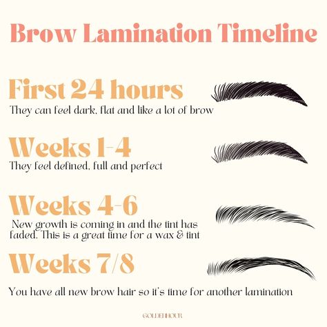 This is a general idea of how a lamination looks between appointments. The photos you see online are taken right after the service which means brows will actually look a little softer by the next day. I hope this rough timeline helps. I don't believe in going in to an appointment blind - I want you to have all the info up front! 🥳 I know the idea of a lamination can be a little scary. Especially when the internet loves to give us extreme examples and horror stories 😒 I hope this timeline he... Lash And Brow Lamination, Brow Lamination Price List, Brow Lamination Captions, What Is A Brow Lamination, Eyebrow Business Names, Brow Lamination Aesthetic, Brow Lamination Before And After, Brow Salon Ideas, Brow Lamination And Tint