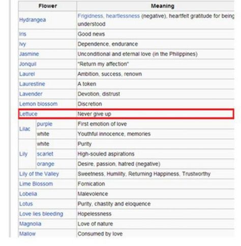 The Meaning Of Flowers, Meaning Of Flowers, Lemon Blossoms, Flower Meanings, Eternal Love, The Meaning, Never Give Up, Good News, Meant To Be